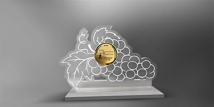 Trophee-surmesure-plexi-altuglass-BLOISi-marquage-socles-gravure laser-couleur-slider4