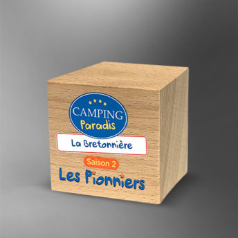 Trophee-cube-bois-marquage--couleur-gravure-entreprise-popup1