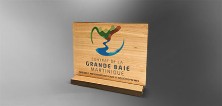 collection-trophee-bois-surmesure-personnalisé-marquage-laser-gravure-couleur-seminaire-sport-entreprise-popup